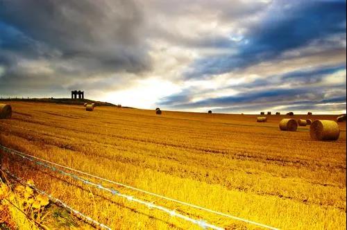 纖維素乙醇產(chǎn)業(yè)化進(jìn)程不斷加快